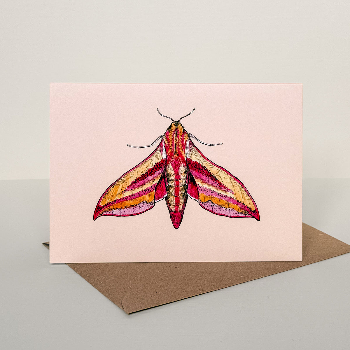 Hawk Moth Illustrated Greetings Card