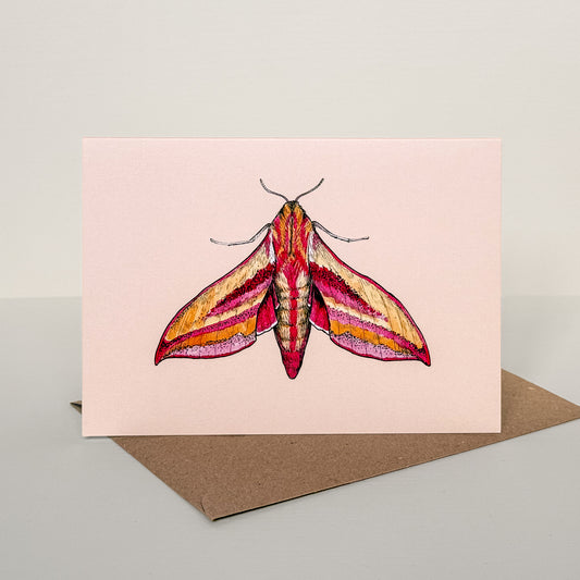 Hawk Moth Illustrated Greetings Card