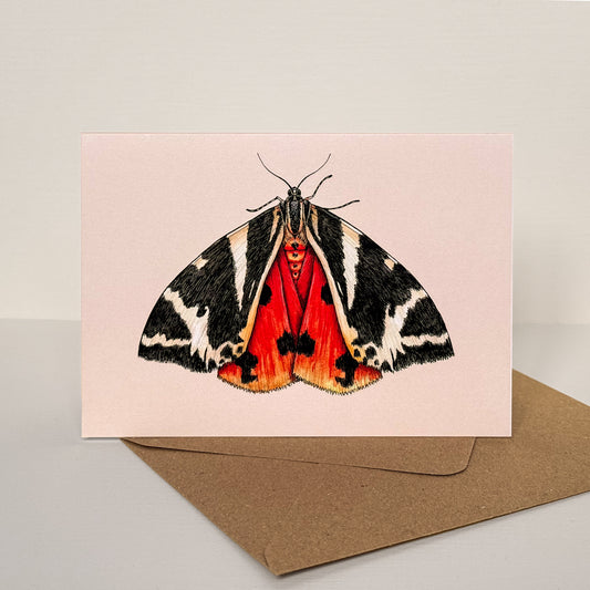 Jersey Tiger Moth Illustrated Greetings Card