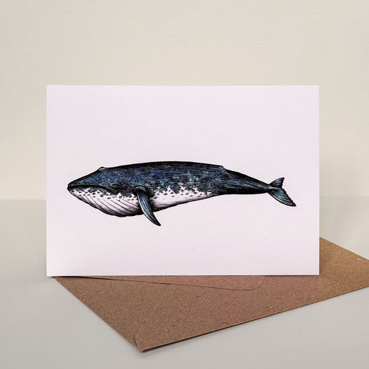 Whale Illustrated Greetings Card